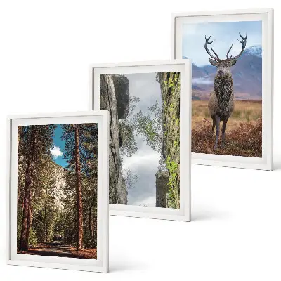 Wanddecoratie set schilderijen Droga las góry jeleń natura