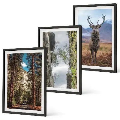 Wanddecoratieset schilderijen met een landschap van bergen en een hert in de natuur