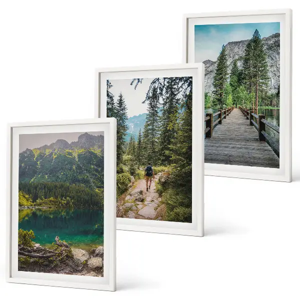 Fotobehang bergen, meren, bossen en bospaden