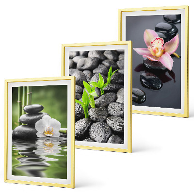 Wanddecoratie set schilderijen Spokojna kompozycja zen kwiaty woda
