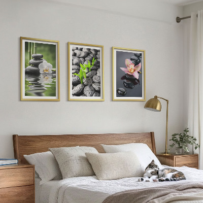 Wanddecoratie set schilderijen Spokojna kompozycja zen kwiaty woda