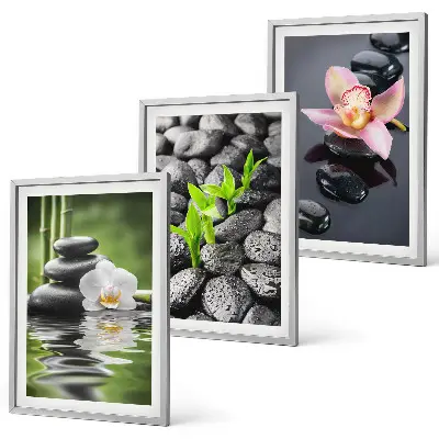 Wanddecoratieset schilderijen rustige compositie met zen bloemen en water