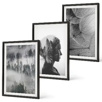 Fotowand met een bos in de mist, een portret van een boom en een paardenbloem