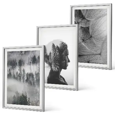 Fotowand met een bos in de mist, een portret van een boom en een paardenbloem
