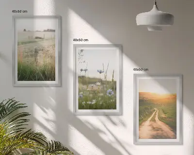 Fotowand natuurlandschap met velden en een pad