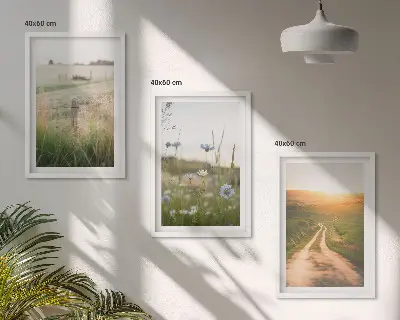 Fotowand natuurlandschap met velden en een pad