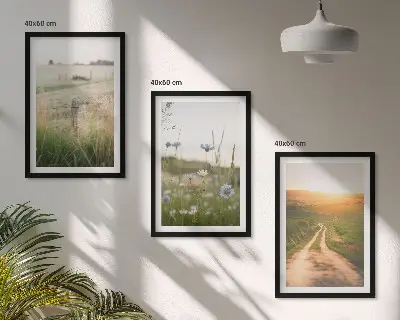 Fotowand natuurlandschap met velden en een pad