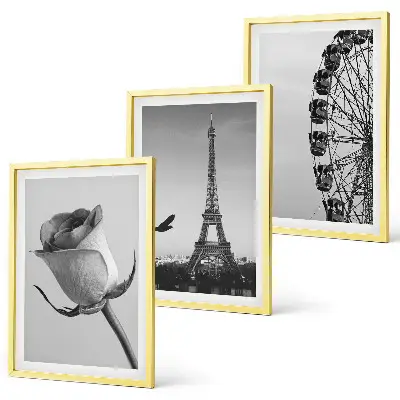 Wanddecoratieset met schilderijen deze set toont een roos, de Eiffeltoren en een reuzenrad