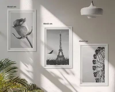 Wanddecoratieset met schilderijen deze set toont een roos, de Eiffeltoren en een reuzenrad