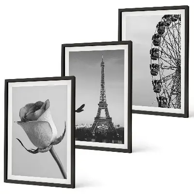 Wanddecoratieset met schilderijen deze set toont een roos, de Eiffeltoren en een reuzenrad