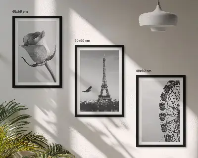 Wanddecoratieset met schilderijen deze set toont een roos, de Eiffeltoren en een reuzenrad