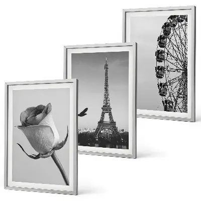 Wanddecoratieset met schilderijen deze set toont een roos, de Eiffeltoren en een reuzenrad