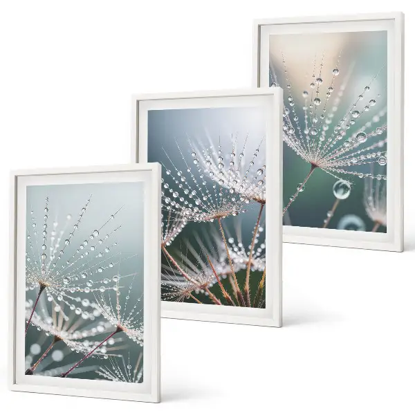 Wanddecoratieset schilderijen met waterdruppels op paardenbloemstelen