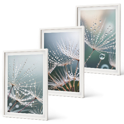 Wanddecoratie set schilderijen Krople wody na pędach dmuchawców