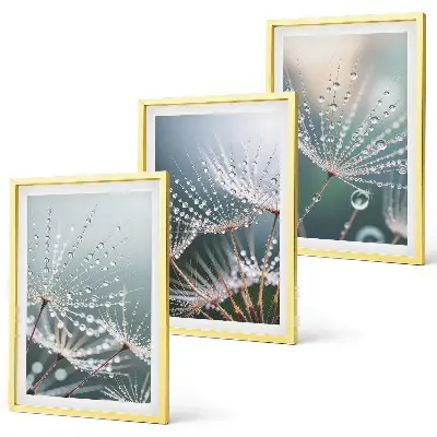 Wanddecoratieset schilderijen met waterdruppels op paardenbloemstelen
