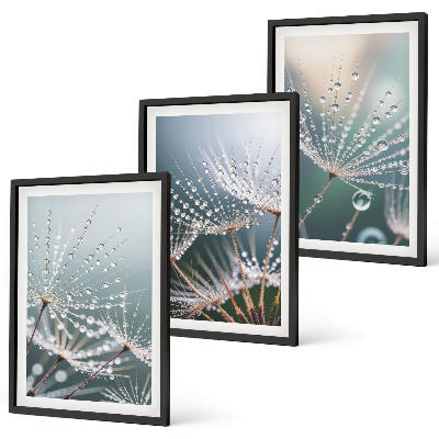 Wanddecoratie set schilderijen Krople wody na pędach dmuchawców