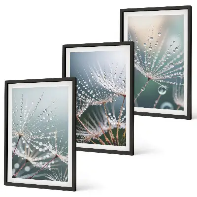 Wanddecoratieset schilderijen met waterdruppels op paardenbloemstelen
