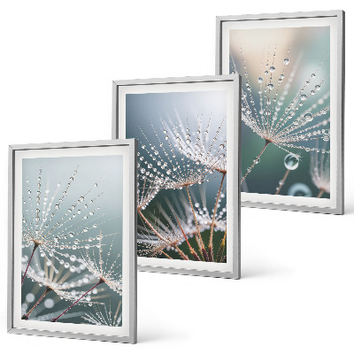 Wanddecoratie set schilderijen Krople wody na pędach dmuchawców