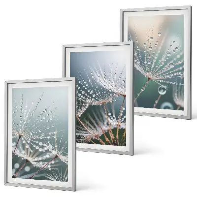 Wanddecoratieset schilderijen met waterdruppels op paardenbloemstelen