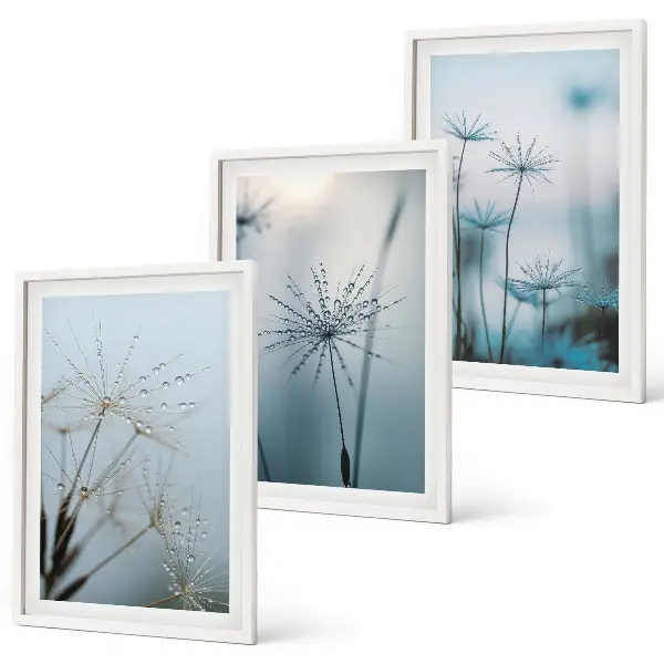 Wanddecoratieset schilderijen paardenbloemen met waterdruppels