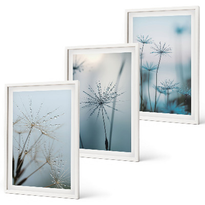 Wanddecoratie set schilderijen Dmuchawce z kroplami wody
