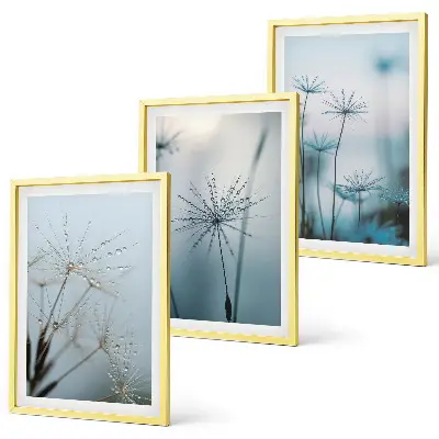 Wanddecoratieset schilderijen paardenbloemen met waterdruppels