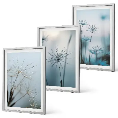 Wanddecoratieset schilderijen paardenbloemen met waterdruppels