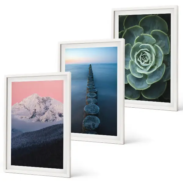 Wanddecoratieset met schilderijen met afbeelding van bergen, roze lucht, water en een vetplant