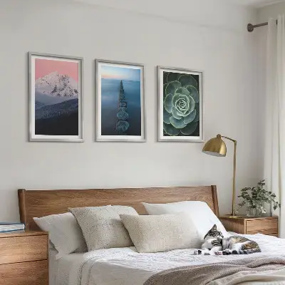 Wanddecoratieset met schilderijen met afbeelding van bergen, roze lucht, water en een vetplant