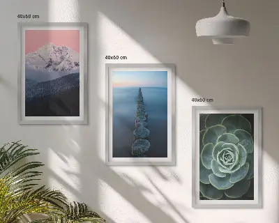 Wanddecoratieset met schilderijen met afbeelding van bergen, roze lucht, water en een vetplant