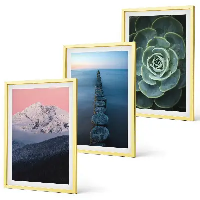 Wanddecoratieset met schilderijen met afbeelding van bergen, roze lucht, water en een vetplant