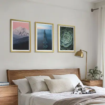 Wanddecoratieset met schilderijen met afbeelding van bergen, roze lucht, water en een vetplant