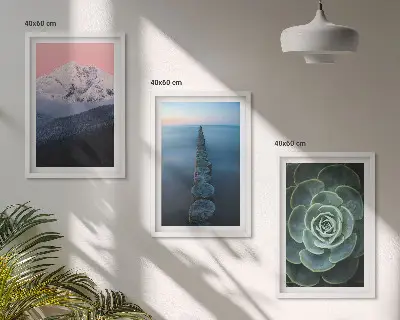 Wanddecoratieset met schilderijen met afbeelding van bergen, roze lucht, water en een vetplant