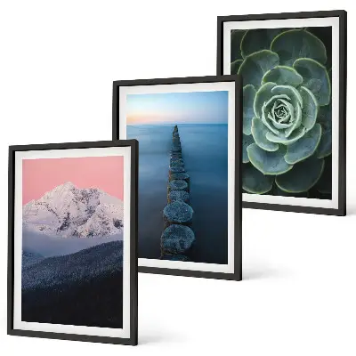 Wanddecoratieset met schilderijen met afbeelding van bergen, roze lucht, water en een vetplant