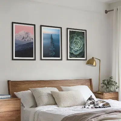 Wanddecoratieset met schilderijen met afbeelding van bergen, roze lucht, water en een vetplant