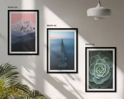 Wanddecoratieset met schilderijen met afbeelding van bergen, roze lucht, water en een vetplant