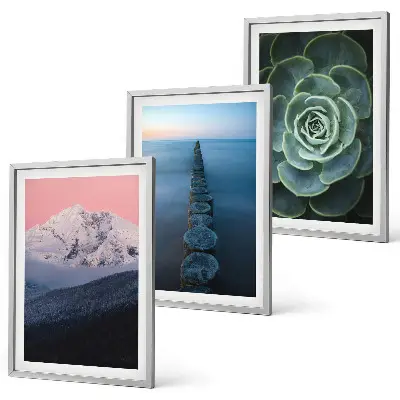Wanddecoratieset met schilderijen met afbeelding van bergen, roze lucht, water en een vetplant