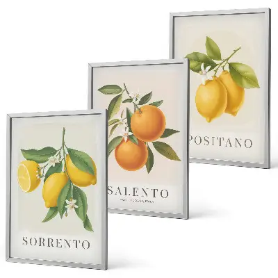 Set schilderijen voor wanddecoratie met citroenen en sinaasappels uit Amalfi