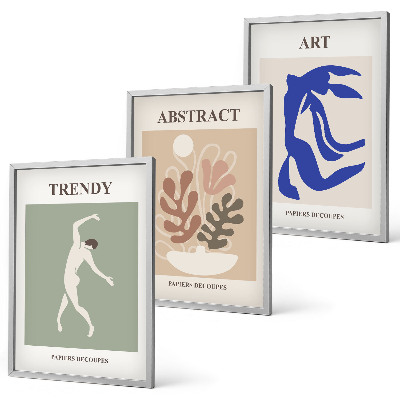 Wanddecoratie set schilderijen Stylowe postacie rośliny Matisse