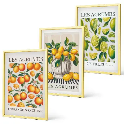 Wanddecoratieset schilderijen met kleurrijke citrusvruchten