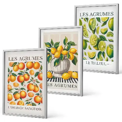 Wanddecoratieset schilderijen met kleurrijke citrusvruchten
