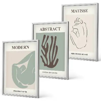 Fotowand stijlvolle abstracte Matisse kunstwerken
