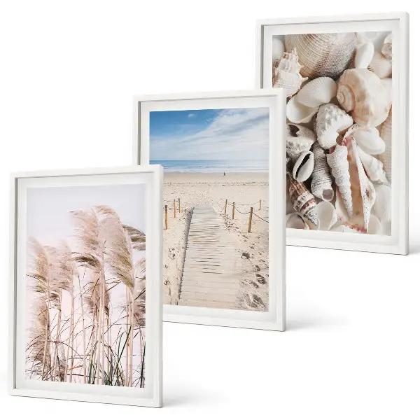 Fotowand met afbeelding van strand, schelpen en helmgras