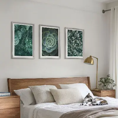 Schilderijenset met succulenten decoratieve wanddecoratie