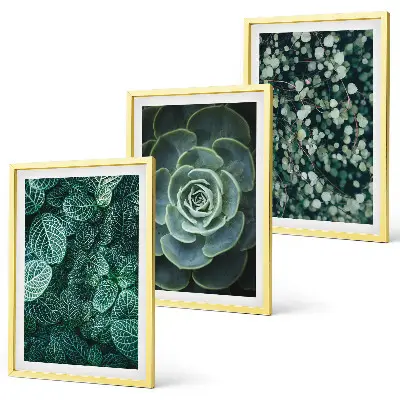 Schilderijenset met succulenten decoratieve wanddecoratie