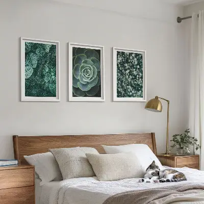 Schilderijenset met succulenten decoratieve wanddecoratie