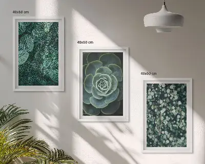 Schilderijenset met succulenten decoratieve wanddecoratie