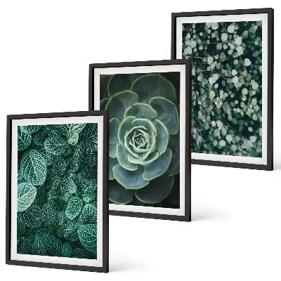 Schilderijenset met succulenten decoratieve wanddecoratie