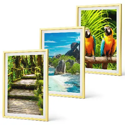 Wanddecoratieset schilderijen tropisch regenwoud met een waterval en papagaaien