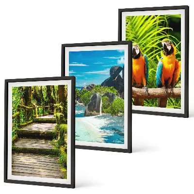 Wanddecoratieset schilderijen tropisch regenwoud met een waterval en papagaaien